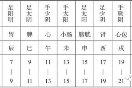歌字的五行属性分析与其文化意义