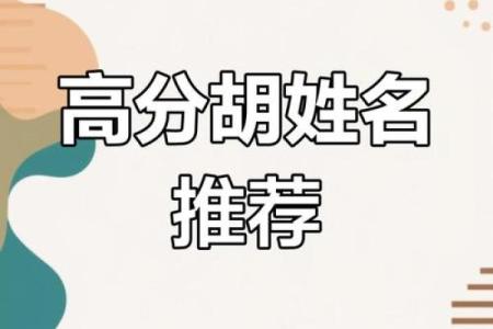 胡姓男宝宝名字大全及其深刻含义