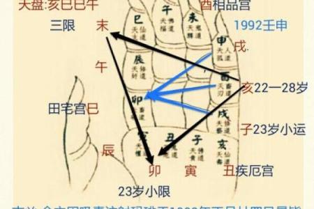八字合化的深层解析与命理应用技巧