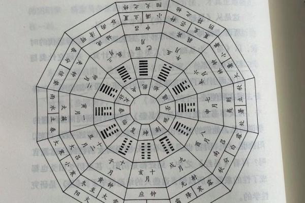 吕字的五行属性解析及其影响