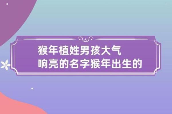 猴年女宝宝取名技巧与寓意分析