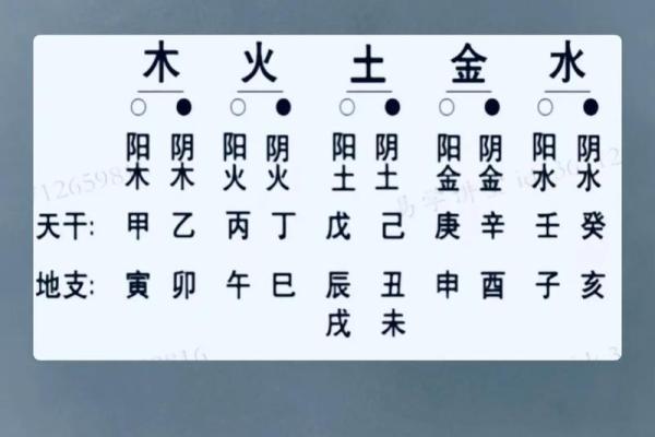 探索天干合生对八字命运的影响