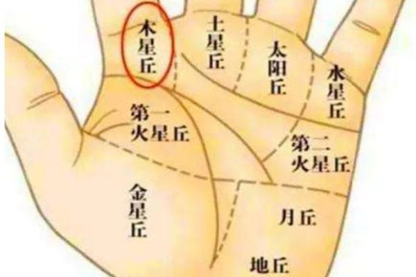如何通过手相漏财纹分析财运走势