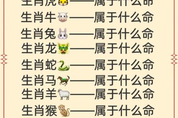 出生的五行属性与命运解析