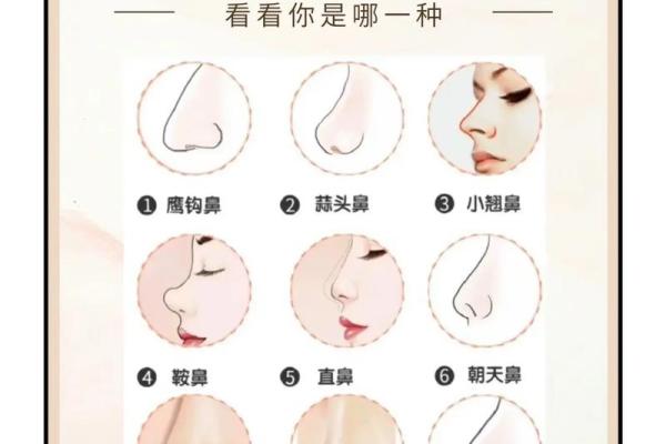 鼻子形状与运势：如何通过面相分析了解未来
