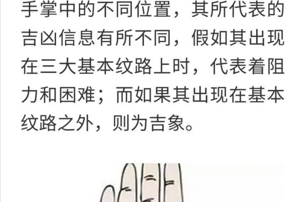如何通过长寿型手相预测健康运势