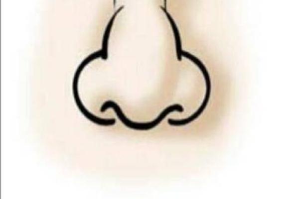 男性鼻子面相解析：如何从鼻形看性格与运势