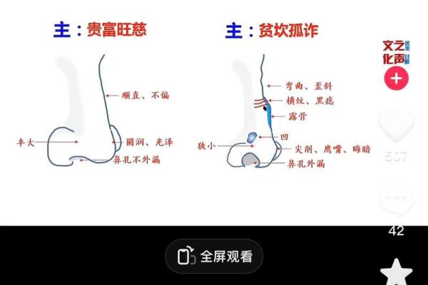 男性鼻子面相解析：如何从鼻形看性格与运势