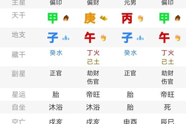 什么是双官命及其在命理学中的意义
