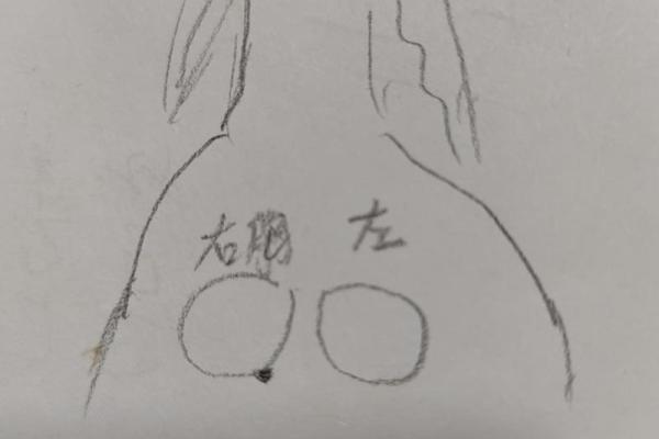 胸痣相解析：如何通过胸部的痣来洞察人生走向