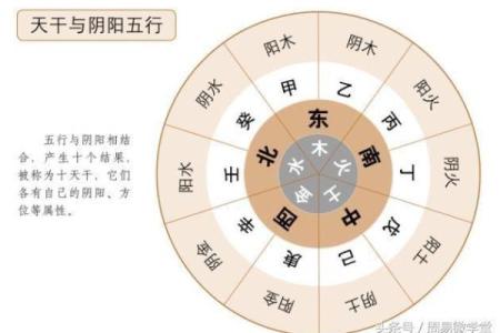 深度剖析乙丙天干对人生运势的具体影响