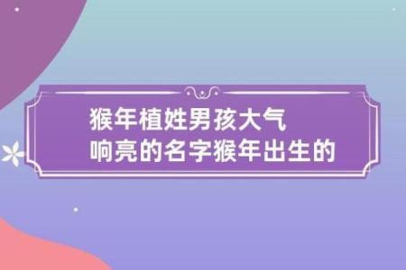 猴年女宝宝取名技巧与寓意分析