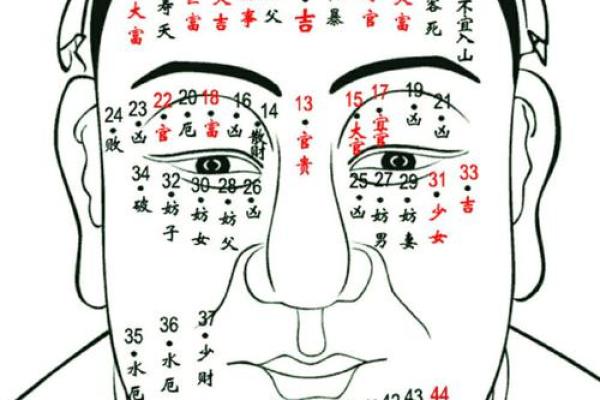 痣相脸的命运密码：从面部痣看个人运势