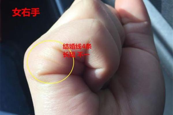 你手中的线索：如何根据手相选择理想房屋