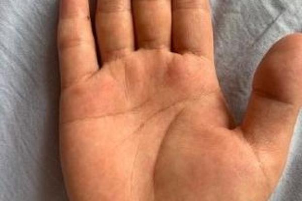 你手中的线索：如何根据手相选择理想房屋
