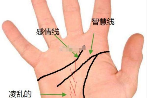 男手相与事业发展：如何通过掌纹解读职场潜力