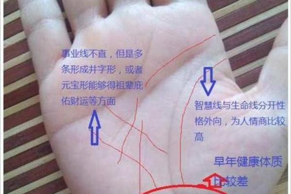 男手相与事业发展：如何通过掌纹解读职场潜力