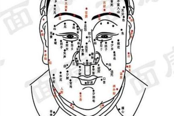 男人痣相图解：如何通过面部痣位置解读命运