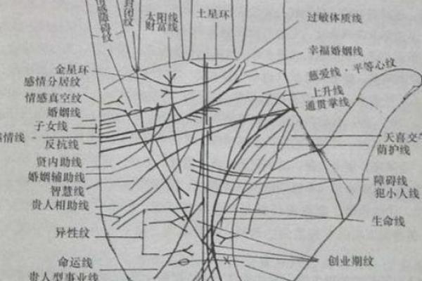如何通过手相判断男人是否会二婚