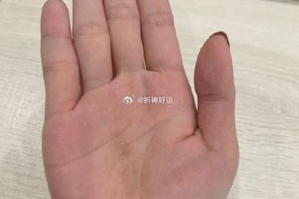 你的手相是否隐藏着中奖的秘密？掌纹揭秘好运密码