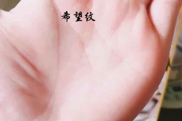 你的手相是否隐藏着中奖的秘密？掌纹揭秘好运密码