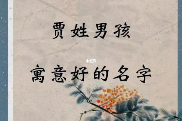 贾姓宝宝起名字：文化传承与时尚元素的结合