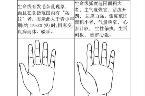 手相分析：如何利用手纹了解自己的人生方向