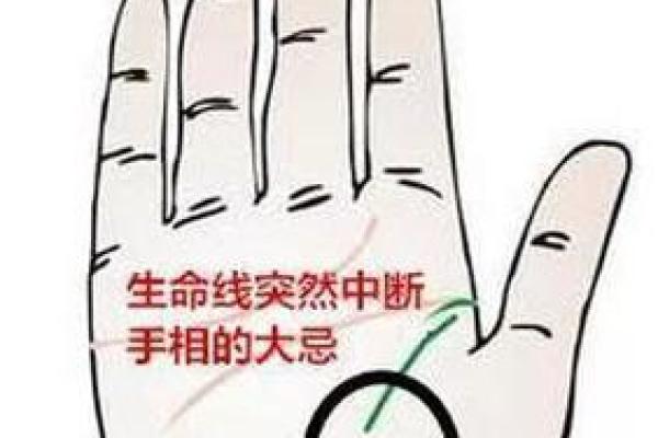 如何通过鸡爪纹手相了解你的个性与未来