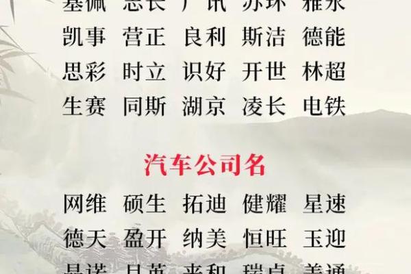 从免费公司起名网大全中选择最佳公司名称