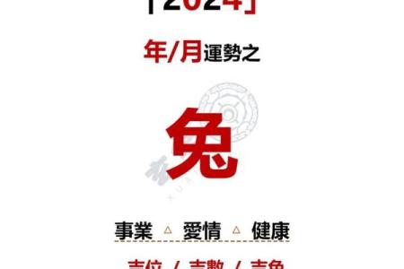 属兔命运走向与五行八字分析