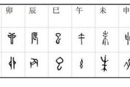 天干中的甲字含义与象征解析