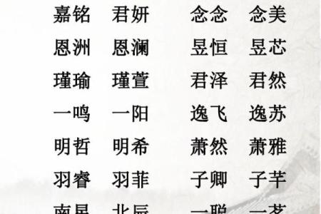 贾姓宝宝起名字：文化传承与时尚元素的结合