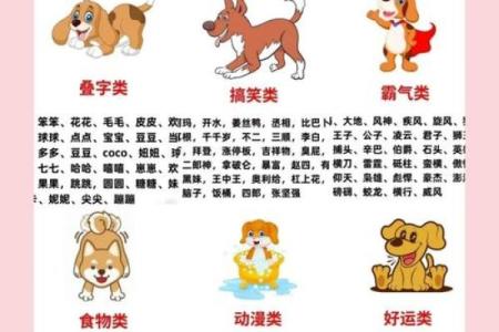 狗年宝宝名字创意：为宝宝挑选最佳名字方案