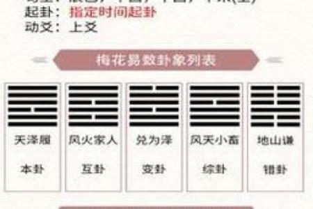 梅花卦排盘的步骤与实际案例分析