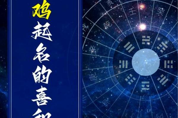 属鸡的命理特点与性格分析