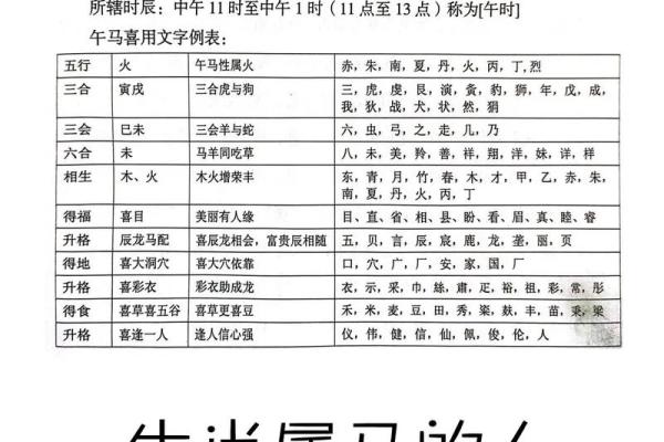 属马的五行属性解析与命运影响