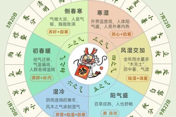 乙壬合的五行特点及其应用解析