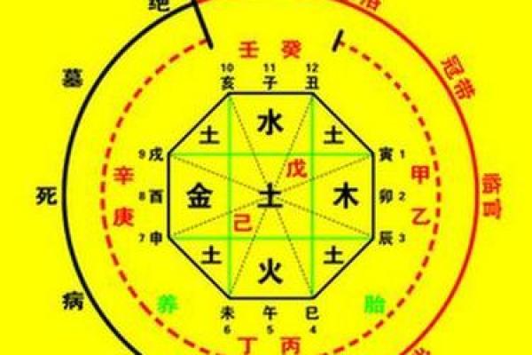 舒五行属性解析与命理影响