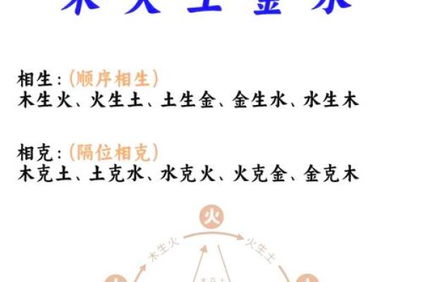 舒五行属性解析与命理影响