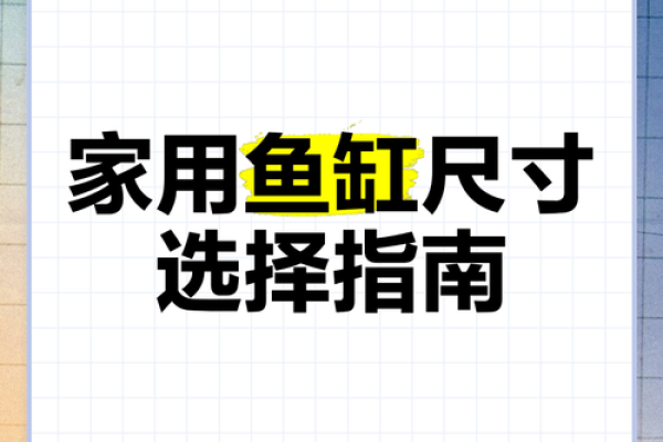 适合家居的鱼缸尺寸：提升风水的秘密