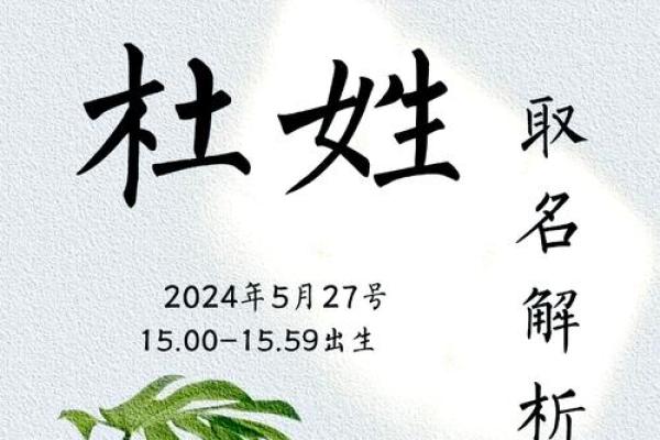 杜字五行属性解析及其对命理的影响