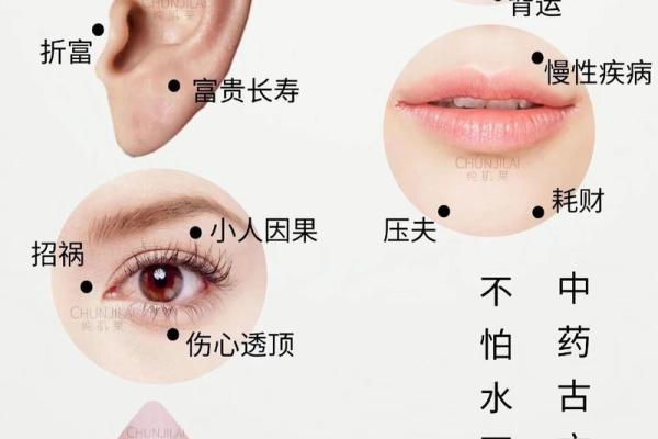 痣相分析：如何通过痣来预测未来