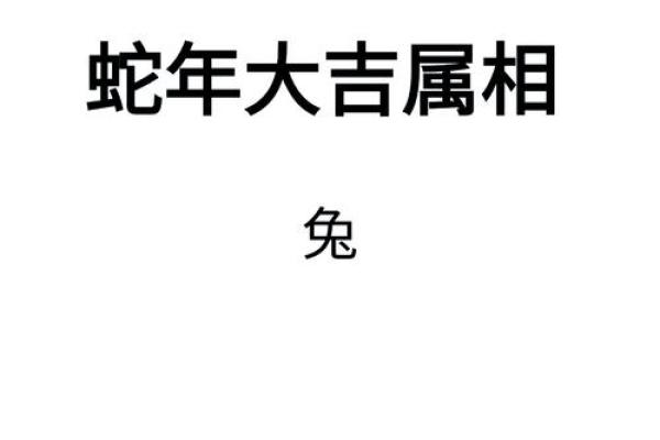 属兔人命运运势解析与人生方向