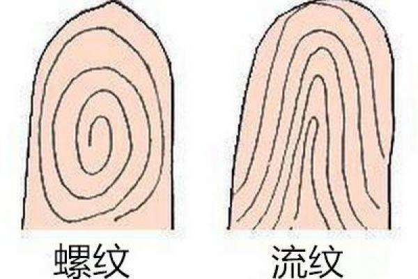 王虎应排盘与命理分析的结合应用