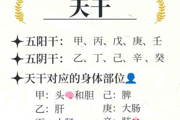 乙与丙天干在八字中的配合与相生相克