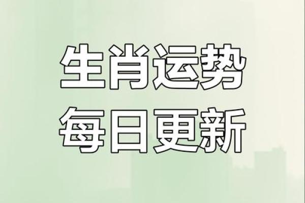 八字旺生肖解析：如何根据命理选择适合的生肖搭配