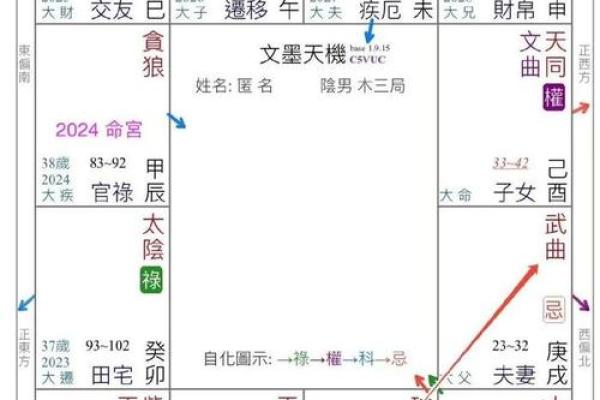 双官命解析：揭开命理中的独特命格