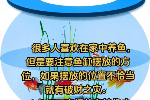 如何利用水的风水能量提升家庭运势