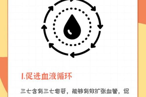 深入了解三七命的基本概念与特点