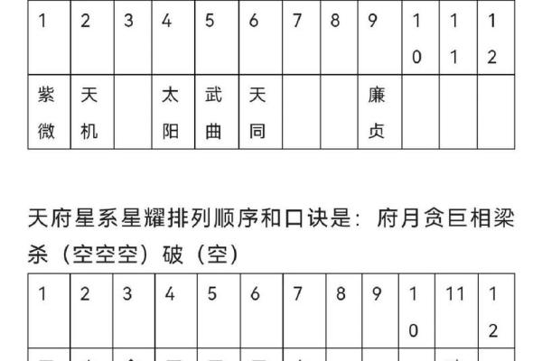 探索紫薇排盘：深度解析命运的隐藏信息